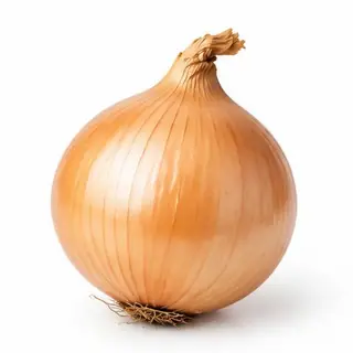 cebola