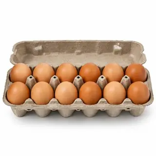 ovos