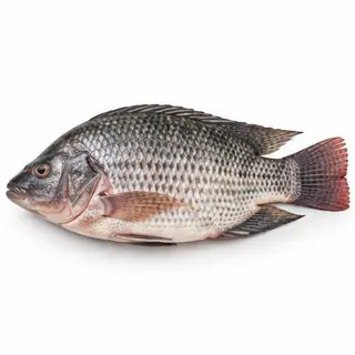 peixe